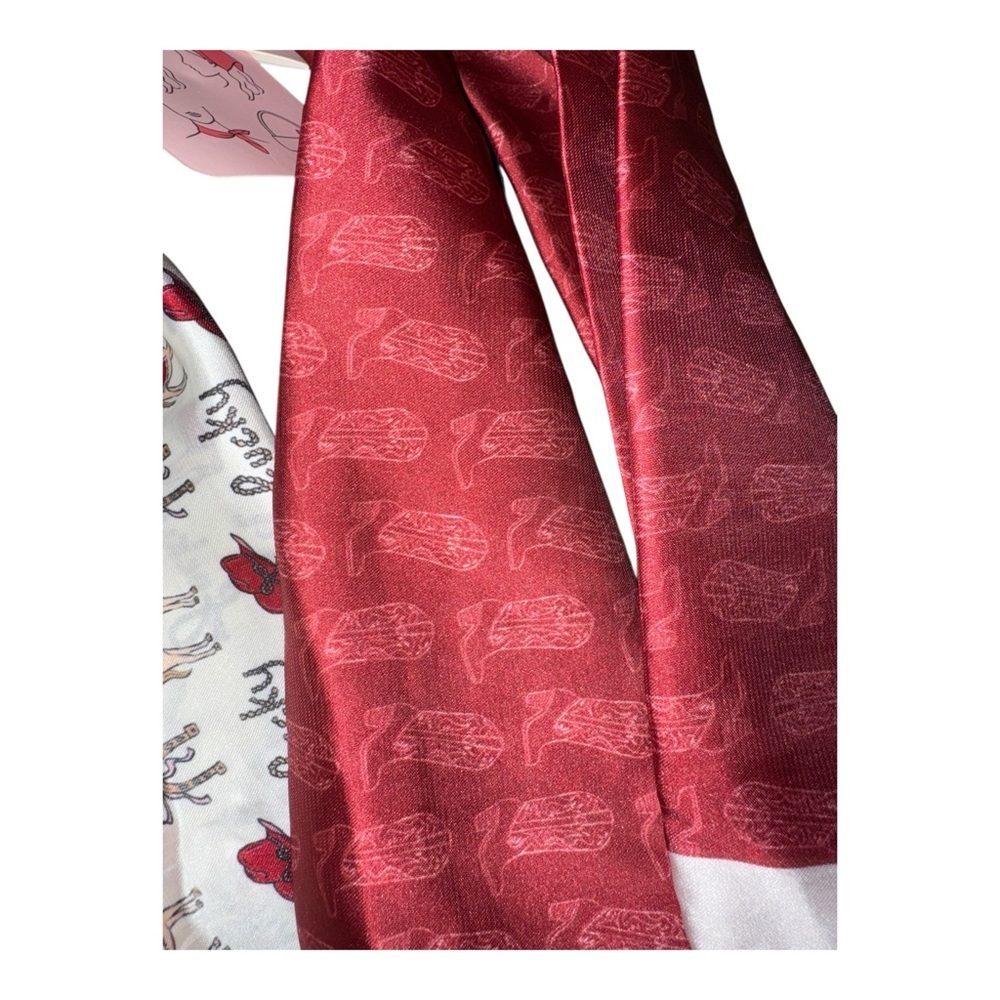 Frasier Sterling Satin Hair Scarf Set 2-Pack Western Print NWT - Picture 6 of 6